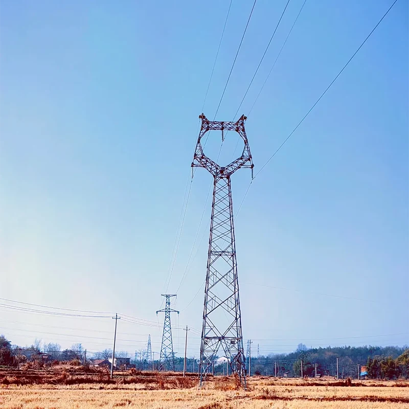 Steel Monitoring Tower