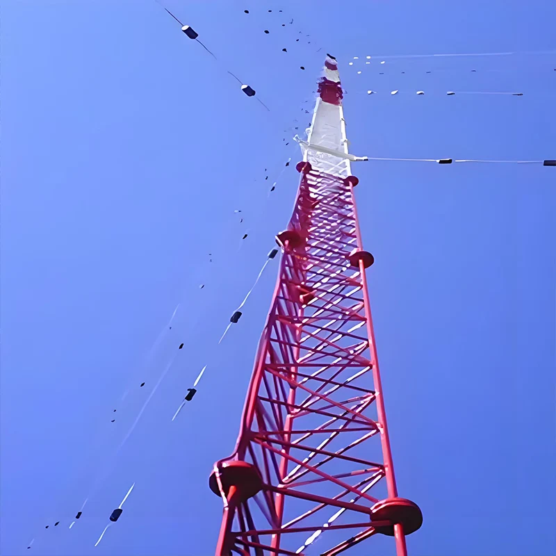 Multifunctional Single Tube Tower
