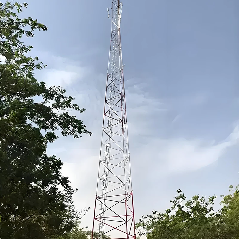 Multifunctional Single Tube Tower