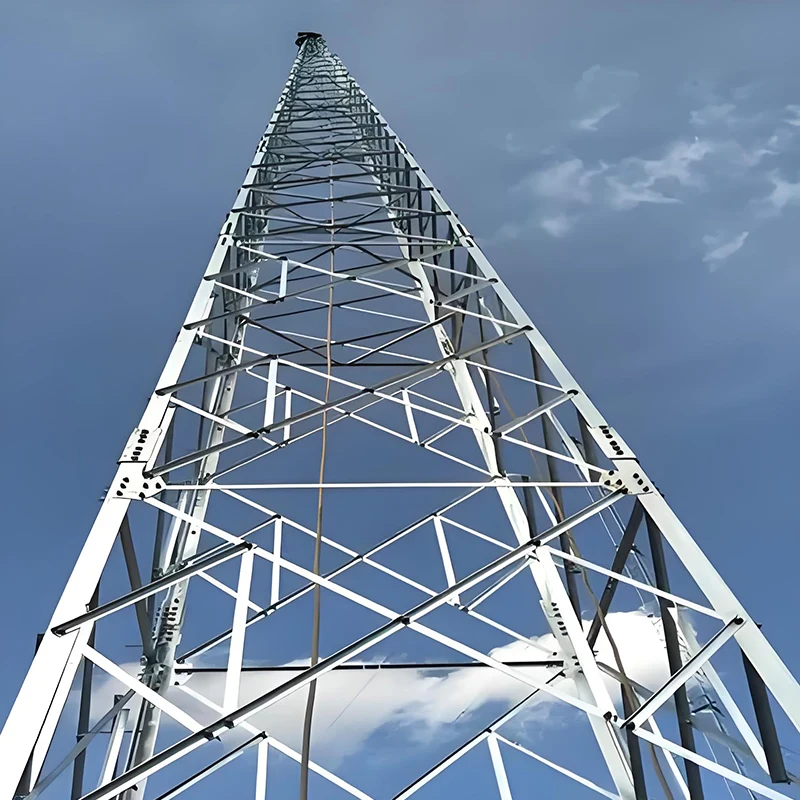 Multifunctional Single Tube Tower