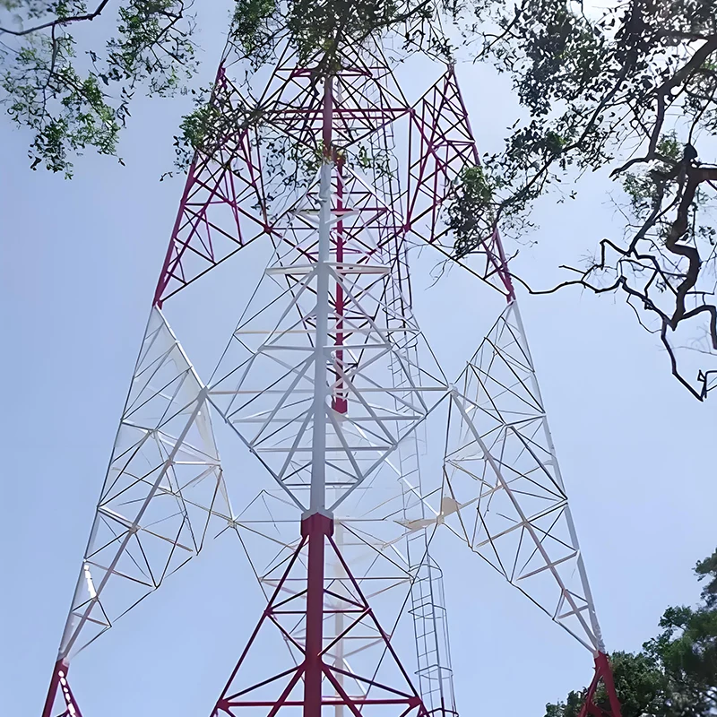 Multifunctional Single Tube Tower