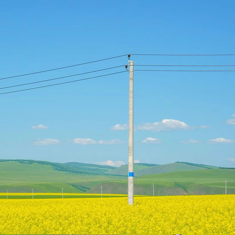 Monopole Transmission Tower