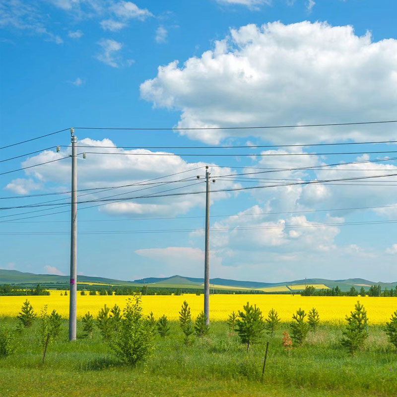 Monopole Transmission Tower