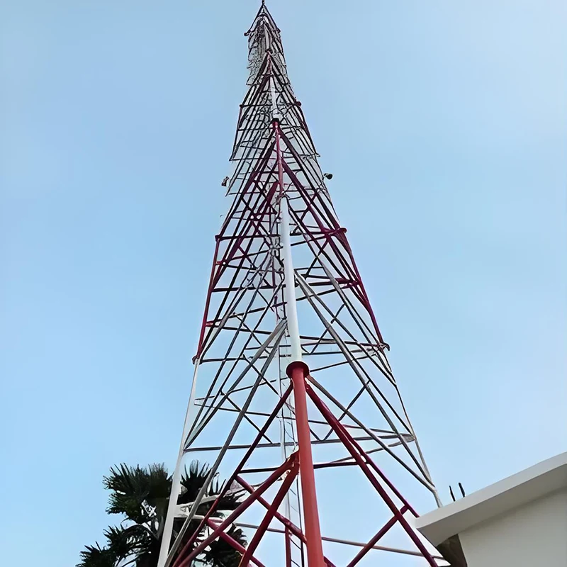 Multifunctional Single Tube Tower